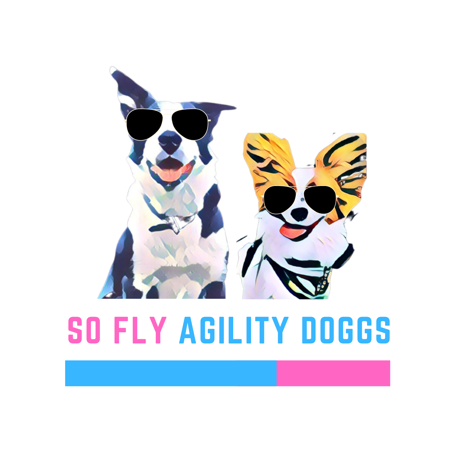 So Fly Agility Doggs
